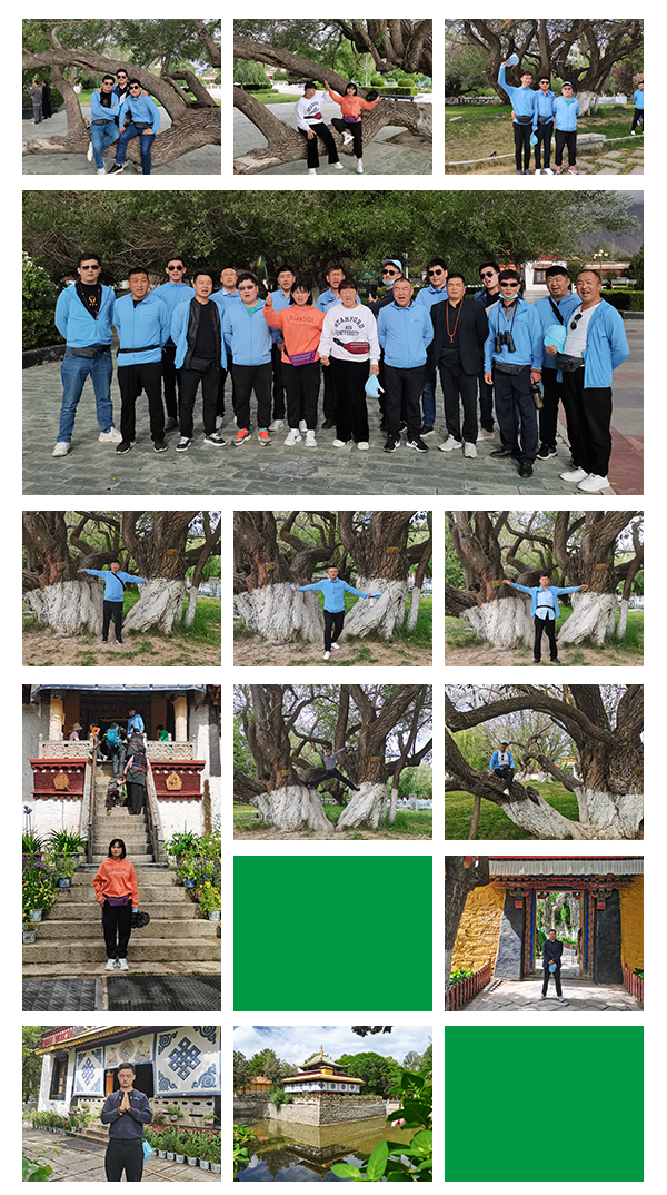 信仰之旅 榮耀之約——中原邦農(nóng)集團(tuán)2021西藏王者之旅品鑒