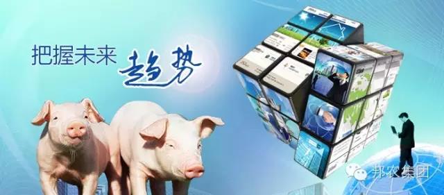 【中原邦農(nóng)】未來3~5年，誰還在養(yǎng)豬，誰還能養(yǎng)豬？