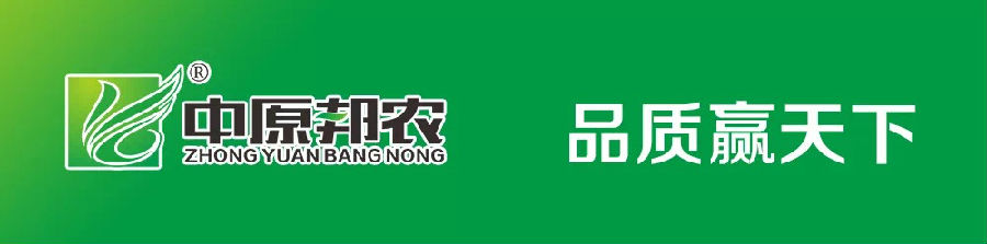 熔煉團(tuán)隊(duì) 共贏未來丨大區(qū)經(jīng)理2020烽狼特訓(xùn)拓展活動完美落幕