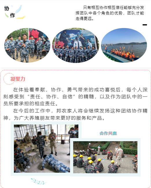 熔煉團(tuán)隊(duì) 共贏未來丨大區(qū)經(jīng)理2020烽狼特訓(xùn)拓展活動完美落幕